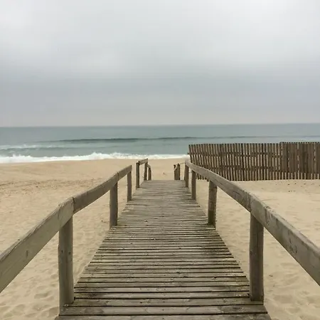 Nature To Relax *